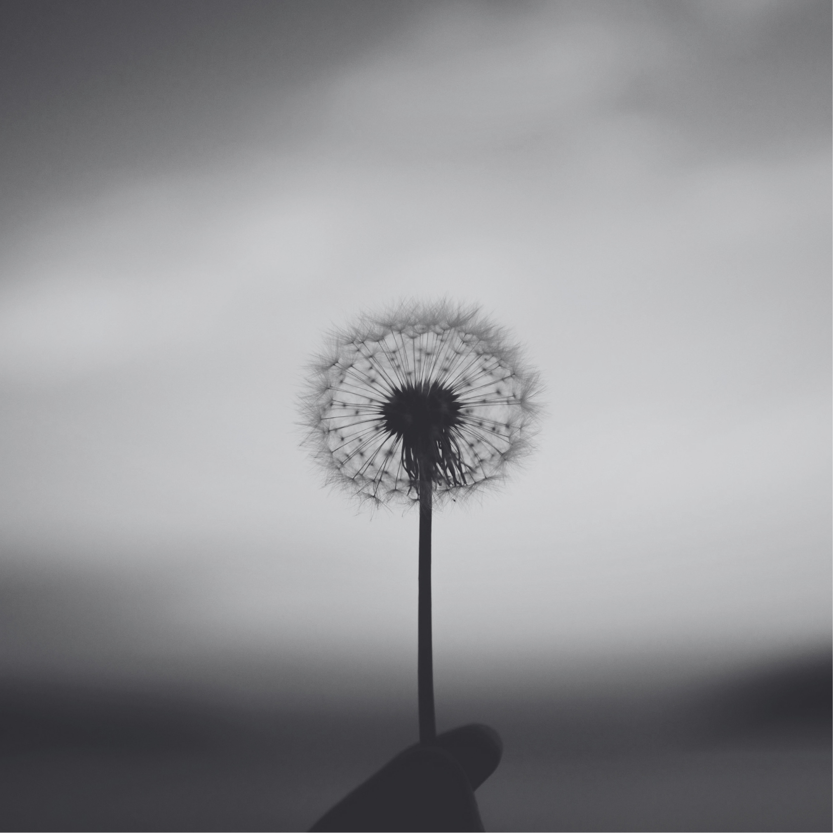 affirm - je mérite l'espoir, i deserve hope