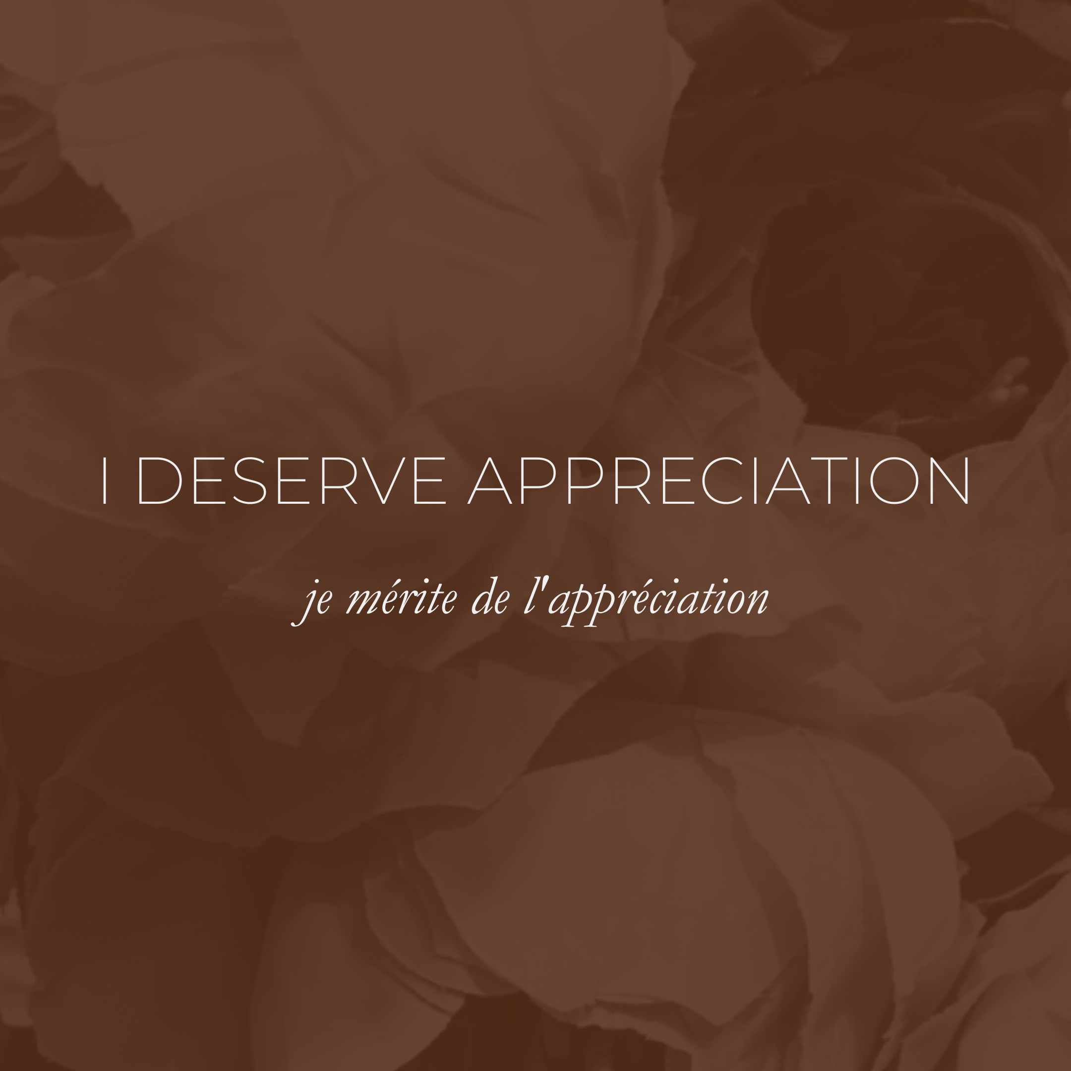Week 20 Affirmation - I Deserve Appreciation, Je Mérite De L'appréciation