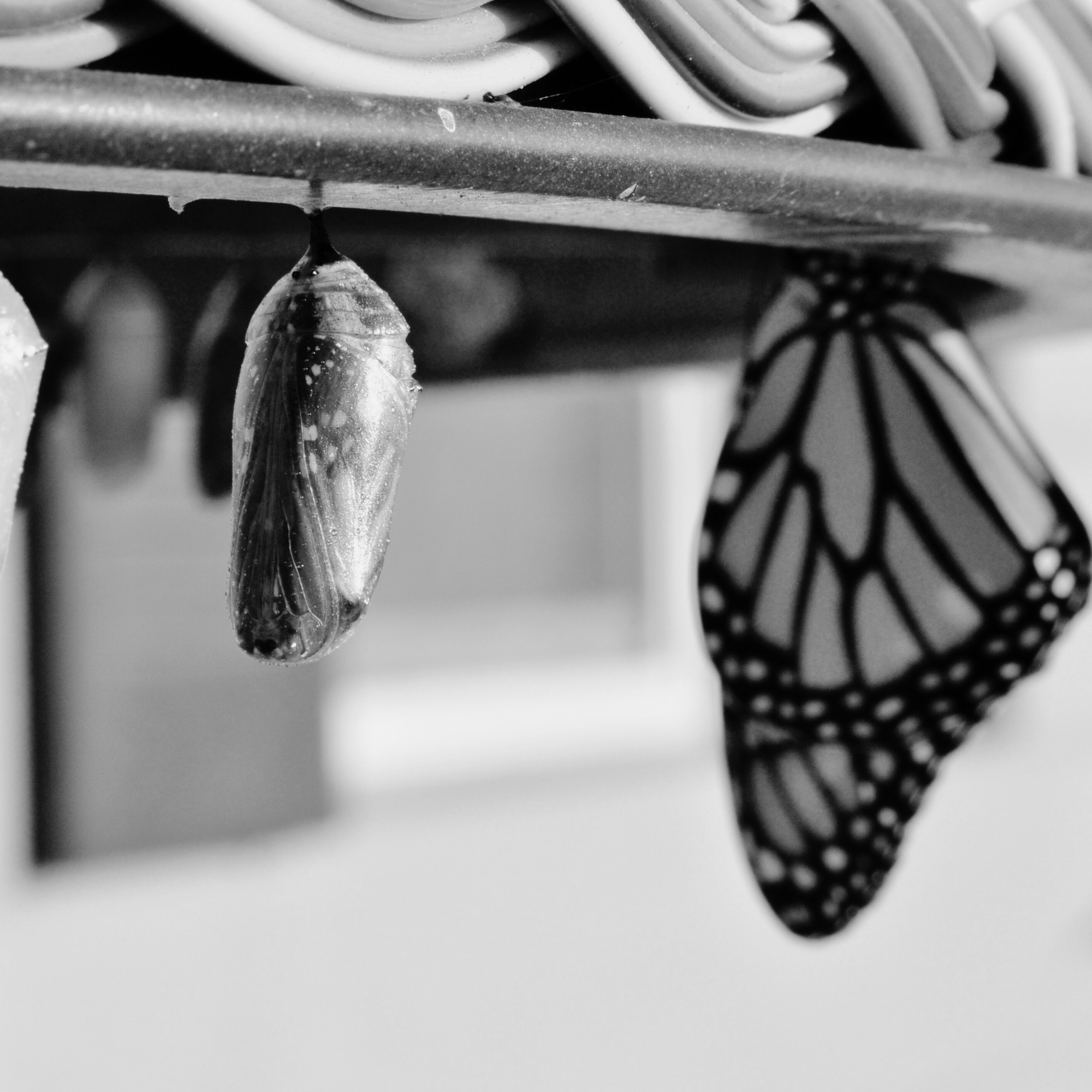 week 49 - i deserve to evolve, je mérite d'évoluer