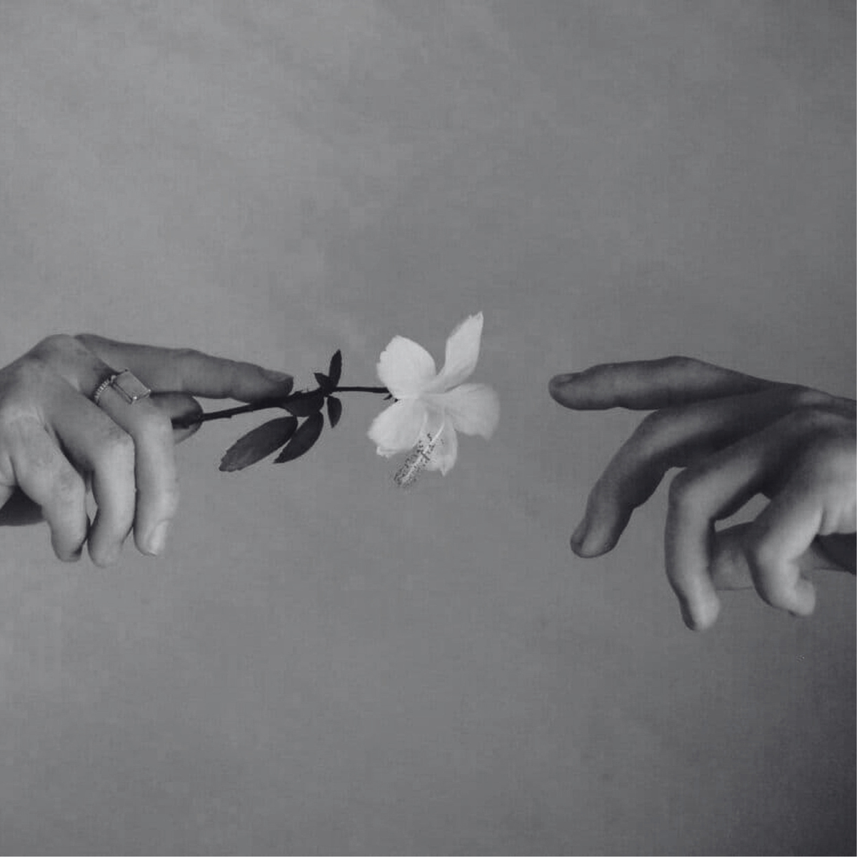 affirm - je mérite pardon, i deserve forgiveness