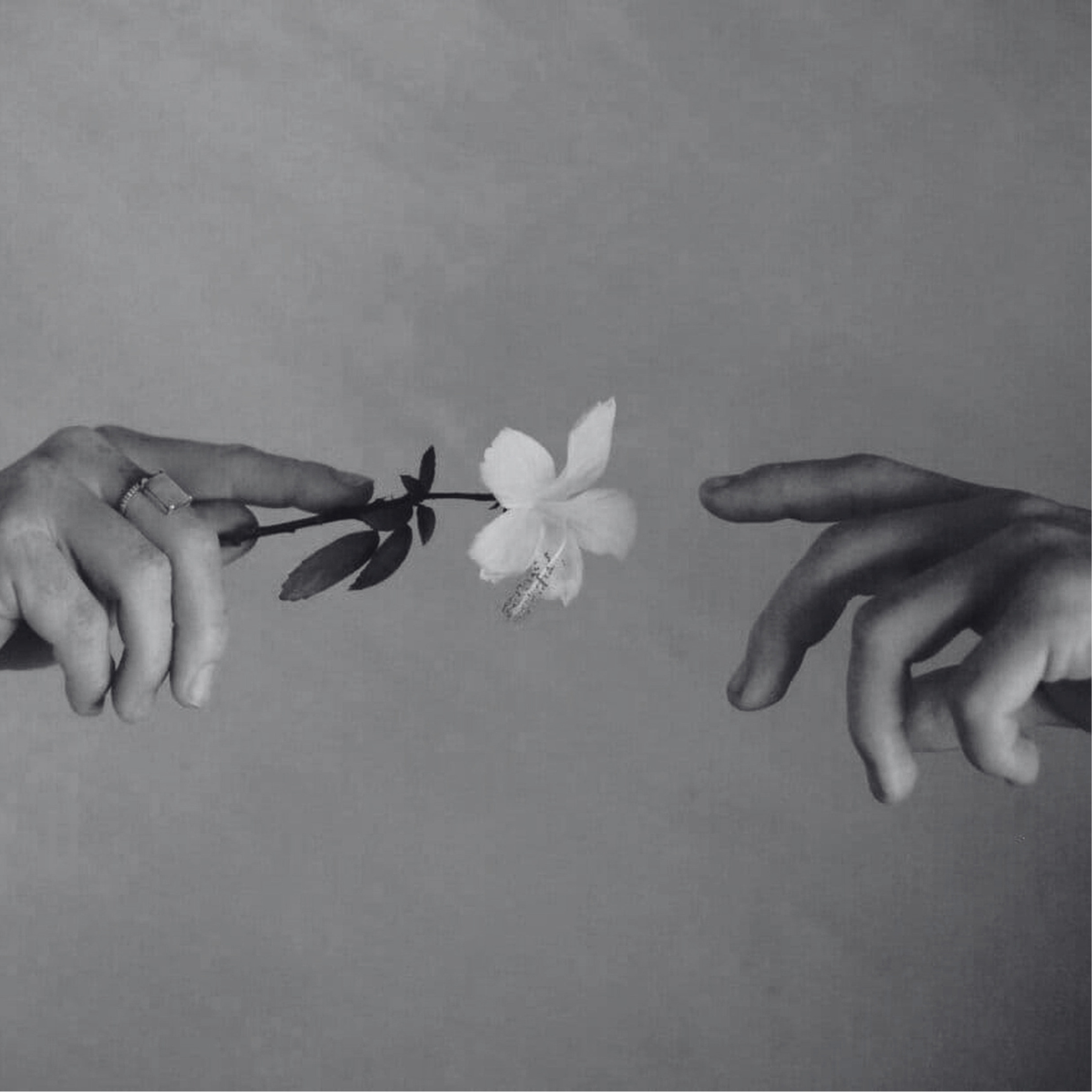 affirm - je mérite pardon, i deserve forgiveness