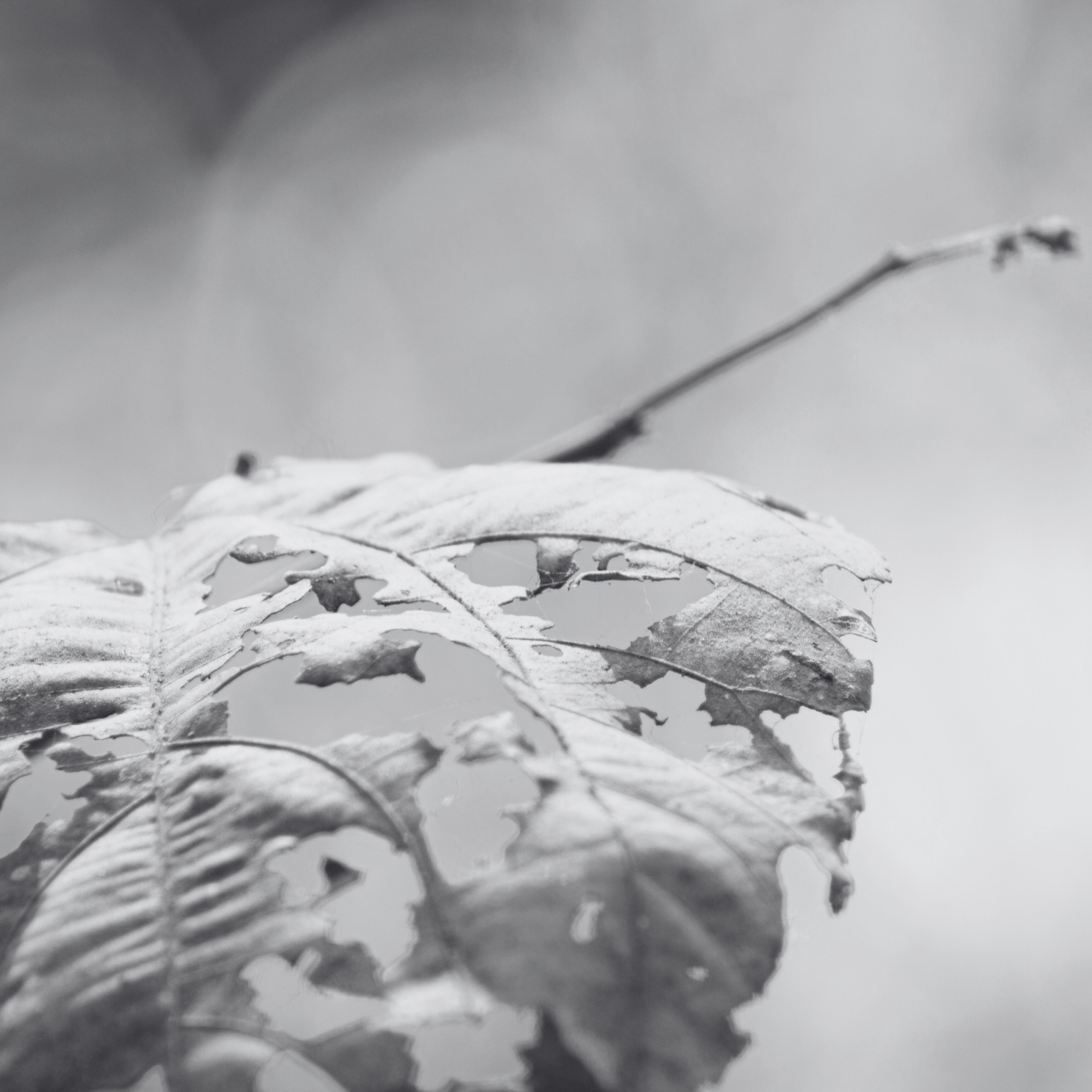 week 45 - i deserve to be imperfect, je mérite d’être imparfait