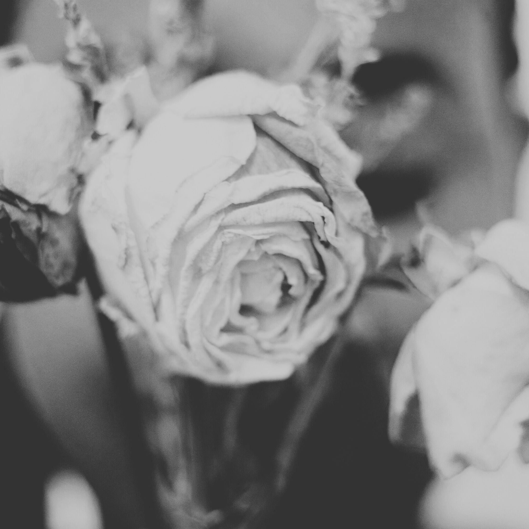 affirm - je mérite d’être compris, i deserve understanding