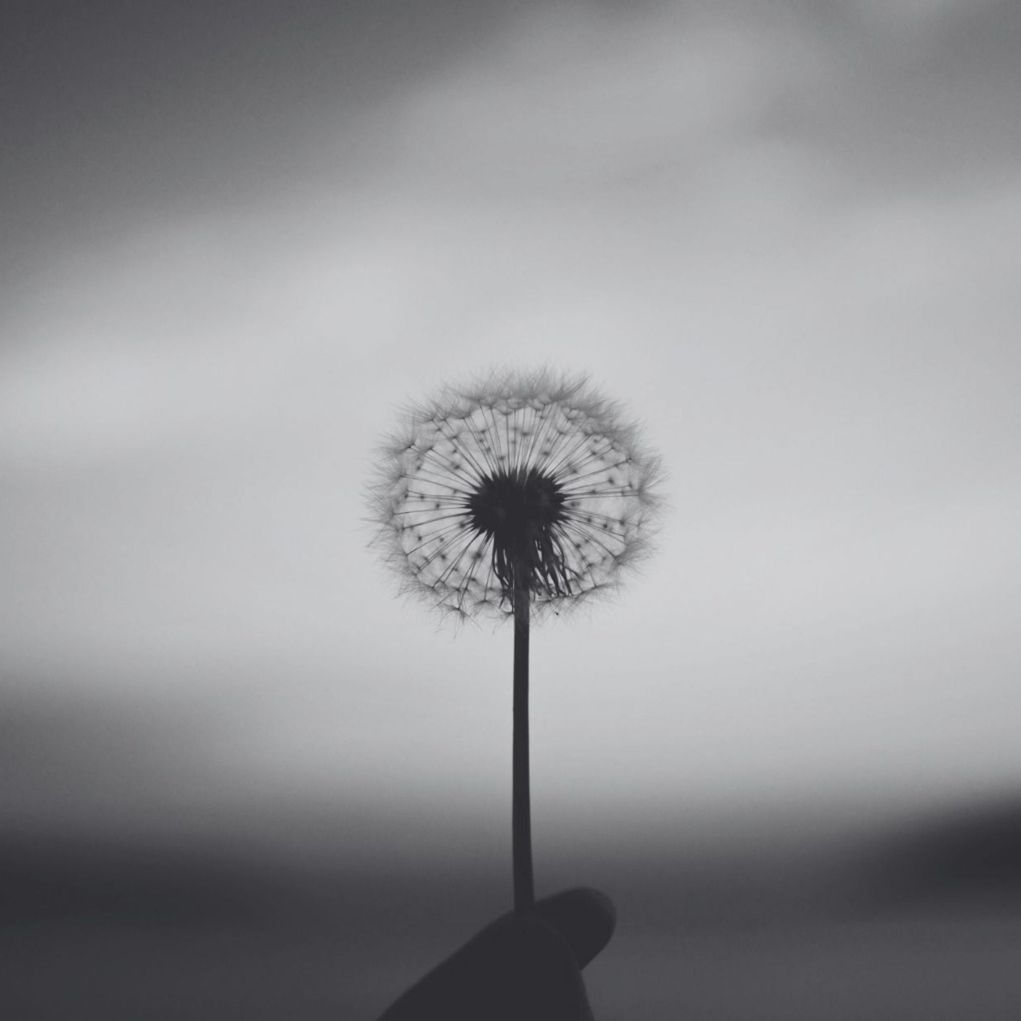 week 34 - i deserve hope, je mérite l'espoir