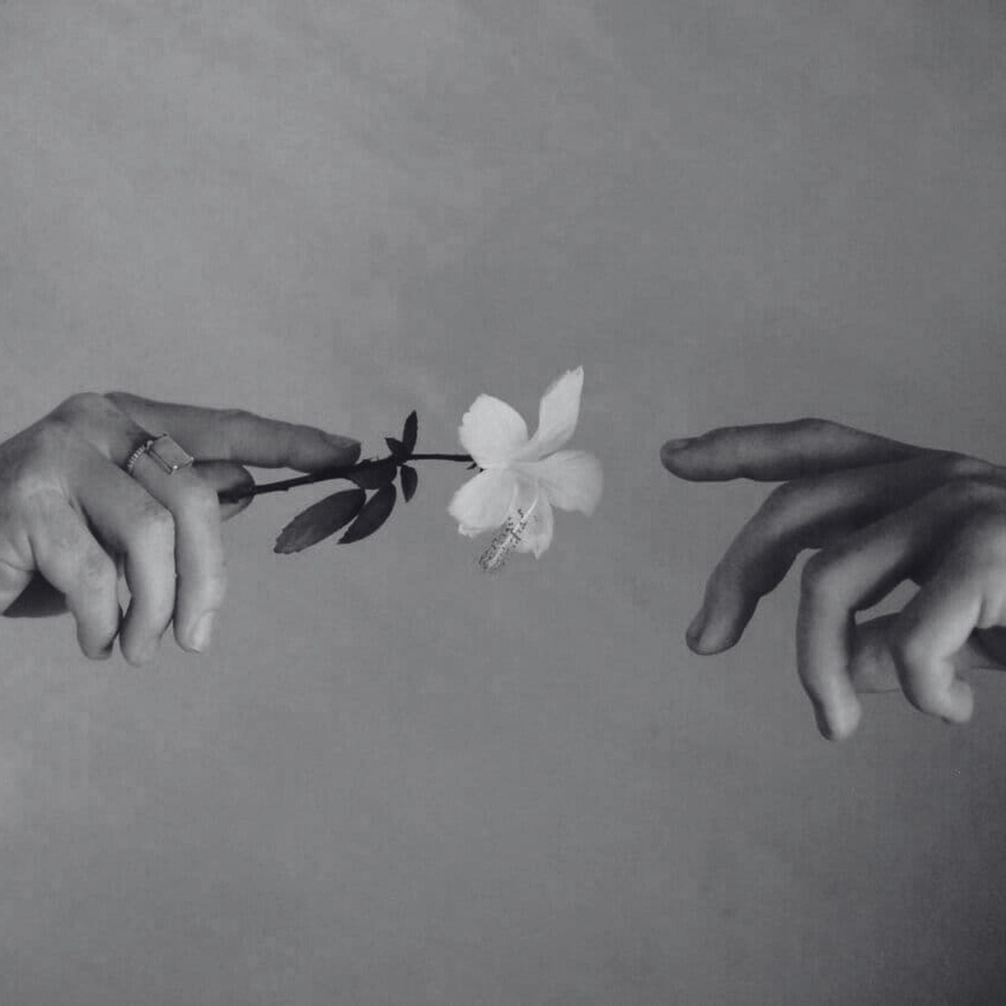 week 32 - i deserve forgiveness, je mérite pardon