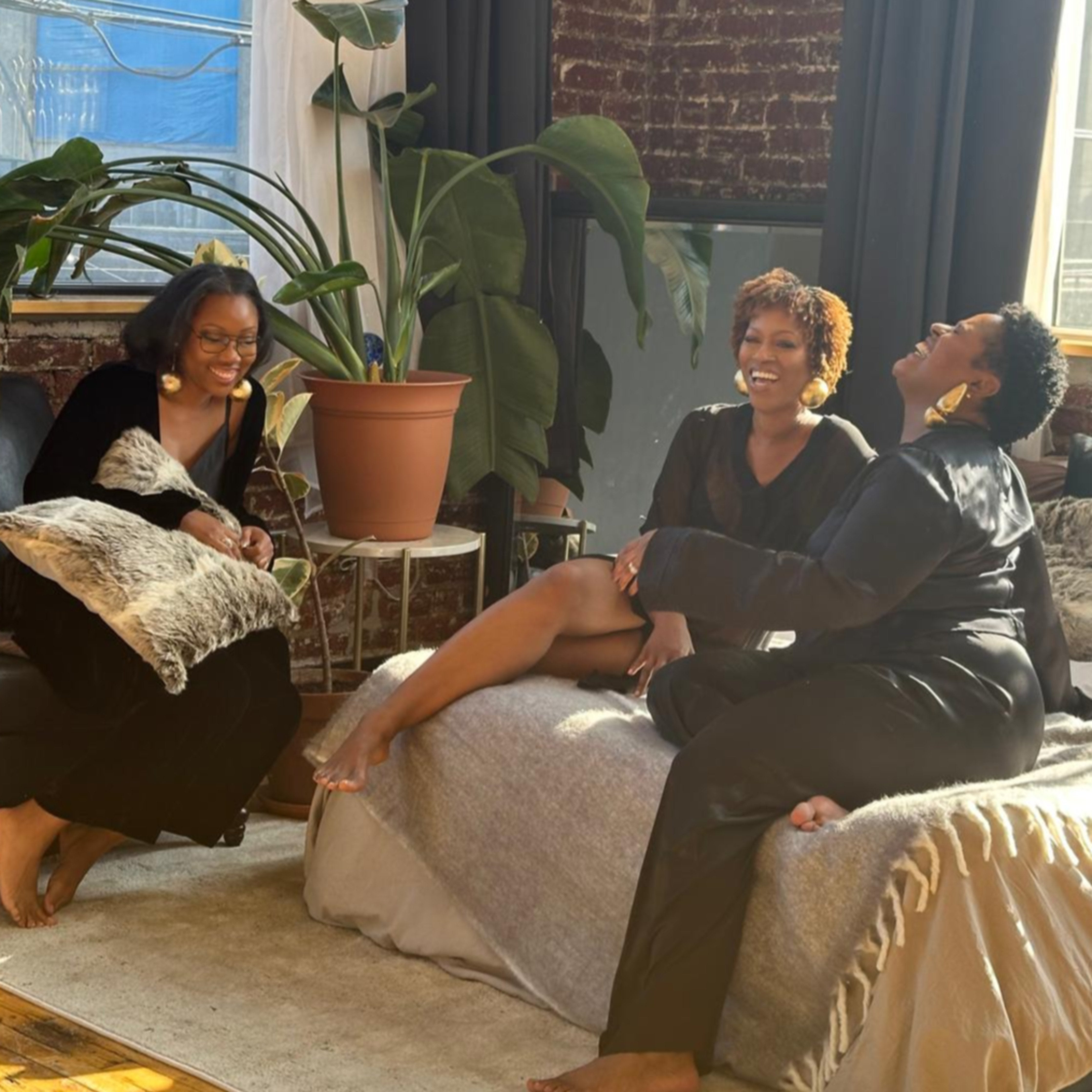 shop all collections