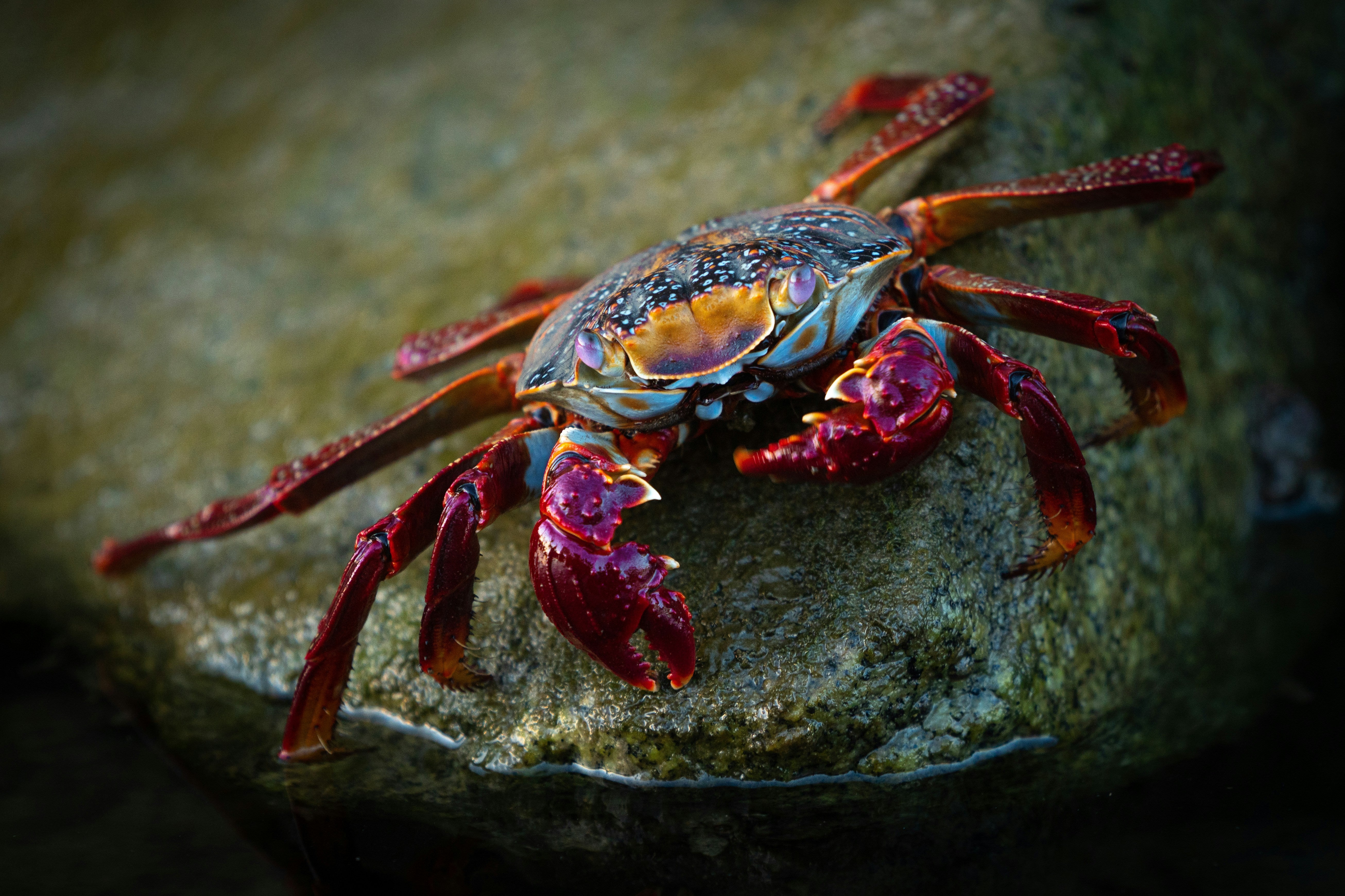 shop self care for cancer