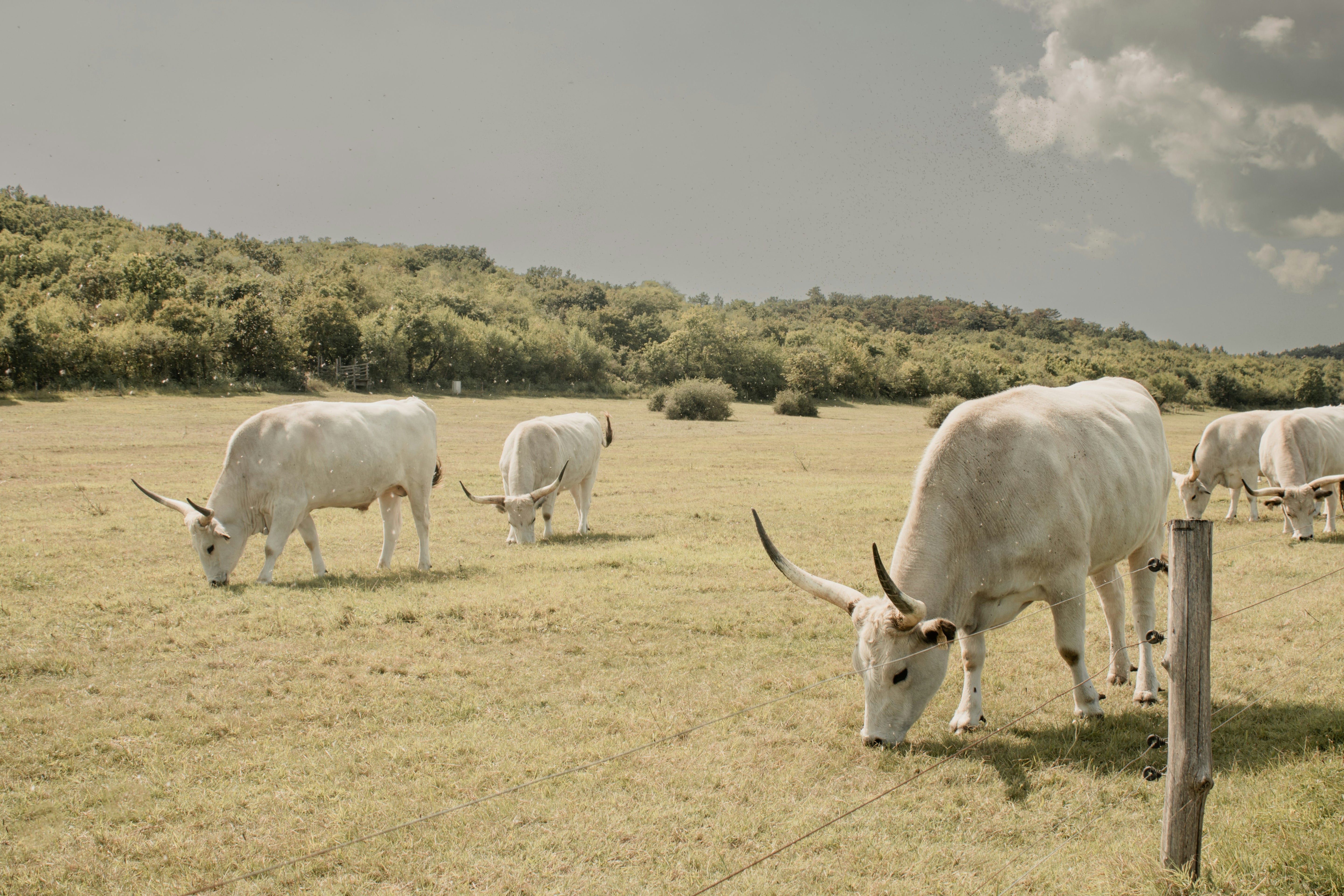 shop self-care for taurus