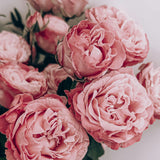 i deserve forever candle - lychee & rose