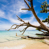 i deserve tranquility candle - hibiscus & teakwood