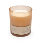 i deserve renewal - peppermint & pine candle