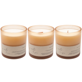 for the person who gave you everything